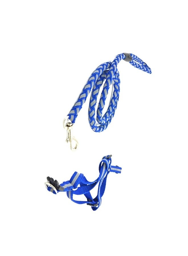 Nema NM Nema Nylon Chest Strap Reflective Dog Training Harness Leash-Blue-Large - Image 4